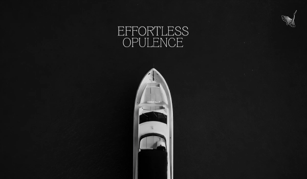 Portfolio project 7