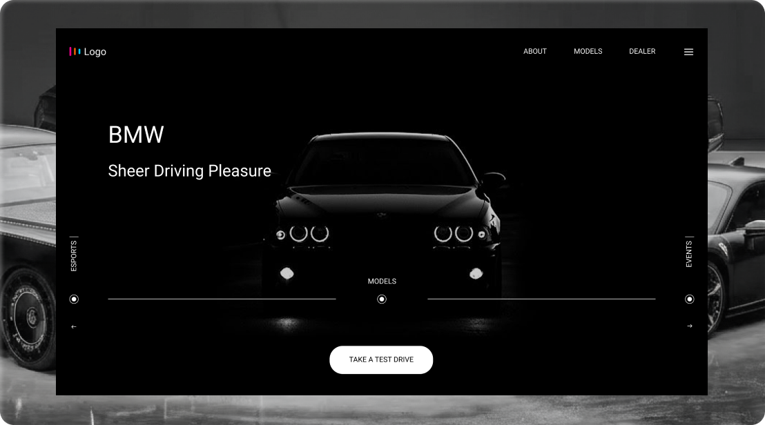Portfolio project 12